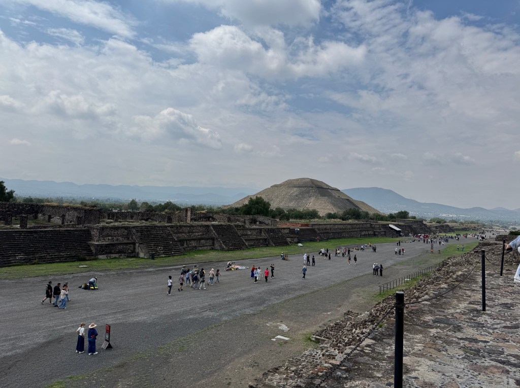 mexico city vegan group trip 2026